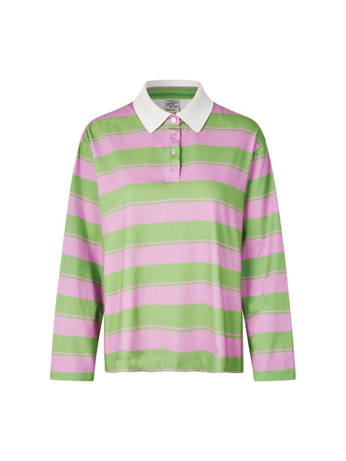 Jeanne Polo Phalaenopsis Football